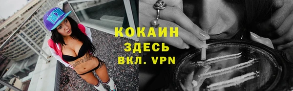spice Рославль