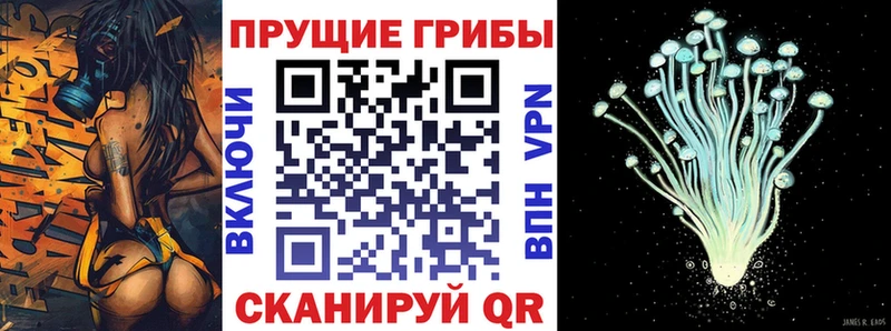Псилоцибиновые грибы прущие грибы  Лангепас 